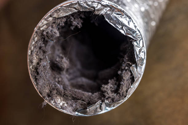 Best Home Air Vent Cleaning  in Mexia, TX